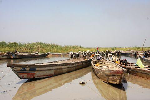 Several wooden fishing boats moored in shallow, muddy water near a shoreline. The boats are long, narrow dugout-style canoes with some painted markings. Tall reeds and grasses line the shore in the background, and a figure in red can be seen standing among the vegetation under a hazy, pale blue sky.