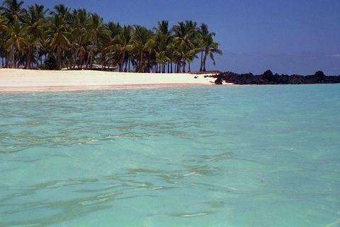 Crystal clear turquoise waters meeting a white sandy beach lined with palm trees. The beach has dark volcanic rocks visible on one side, contrasting with the bright sand. The palm grove creates a lush green line against a clear blue sky.