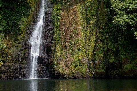 A tall waterfall cascading down a moss-covered rock face in a lush rainforest setting. The white water contrasts against the dark rocks and vibrant green vegetation that covers the cliff walls. The waterfall empties into a calm, dark green pool at its base.