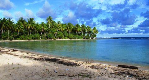 A serene tropical beach scene featuring crystal clear turquoise water, white sand shoreline, and a lush palm tree grove along the coastline under a partly cloudy blue sky.