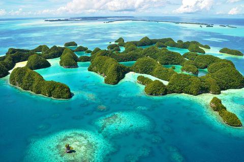 Stunning aerial view of mushroom-shaped islands with lush green forest tops surrounded by shallow turquoise lagoons and deeper blue waters, creating a spectacular pattern of islands and coral formations stretching to the horizon.