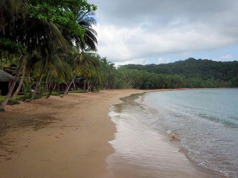 A serene tropical beach with gentle waves lapping at golden sand. Palm trees line the shore, behind which are small structures nestled in dense vegetation, with forested hills rising in the background under a cloudy sky.