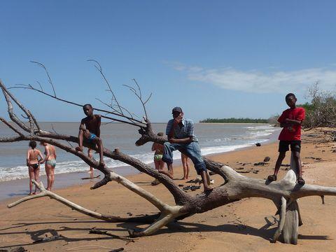  A beach scene with a large driftwood tree trunk on sandy shores. Several people are standing or sitting on the driftwood, with muddy-colored water visible in the background under clear blue skies.